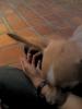 Replays's Avatar